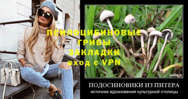 скорость Алзамай